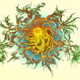 Illustration for article titled This Psychedelic Art Is Actually Bacteria